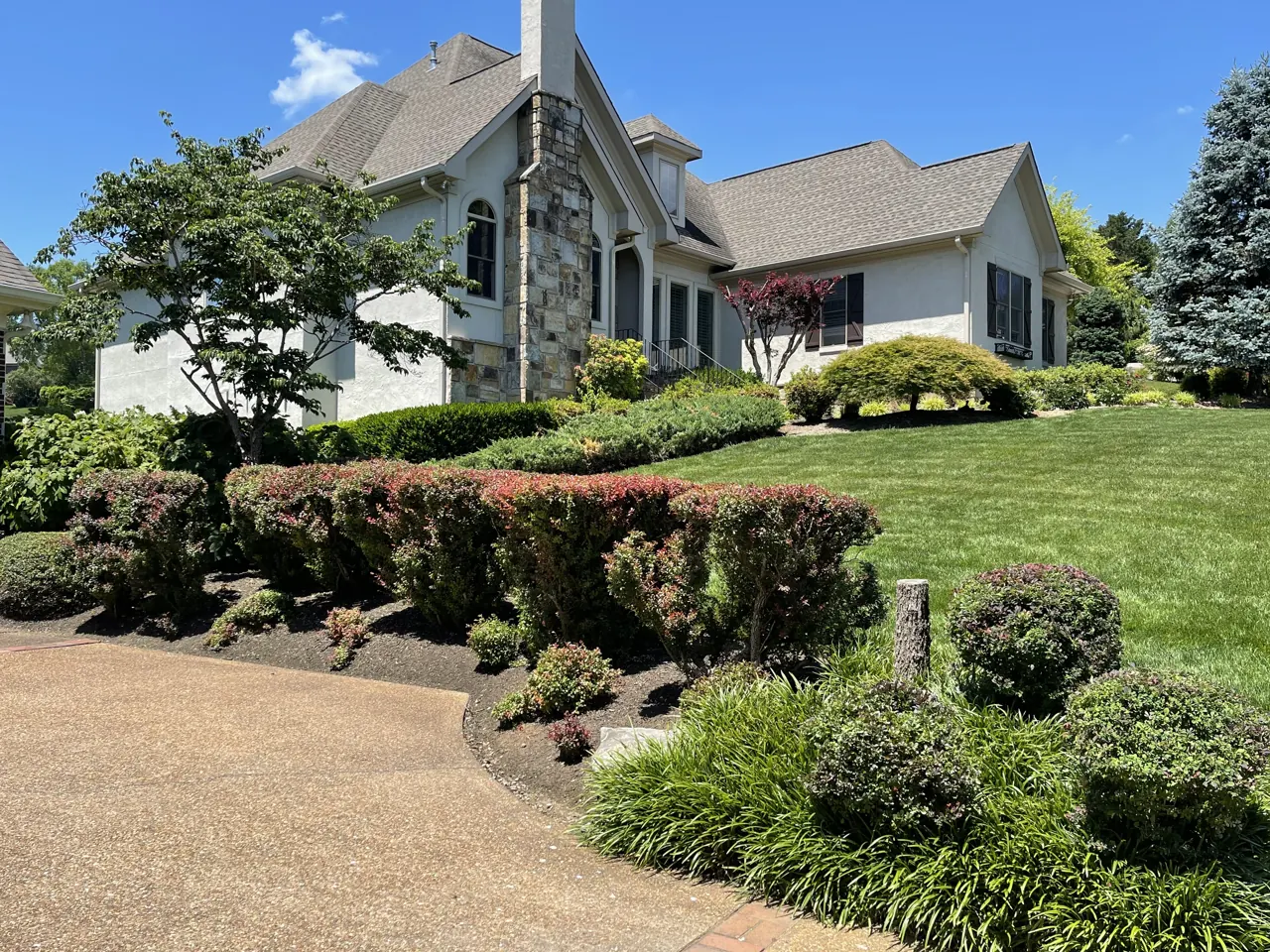 Lawn Care & Renovation by Yellow Rose Landscaping