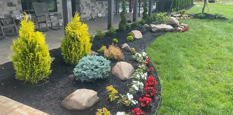 Planting & Garden Design by Yellow Rose Landscaping